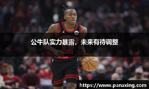 公牛队实力暴露，未来有待调整