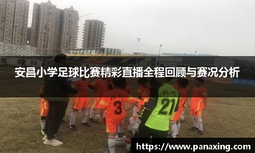 安昌小学足球比赛精彩直播全程回顾与赛况分析