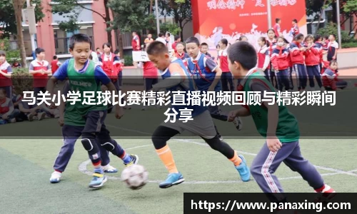 马关小学足球比赛精彩直播视频回顾与精彩瞬间分享