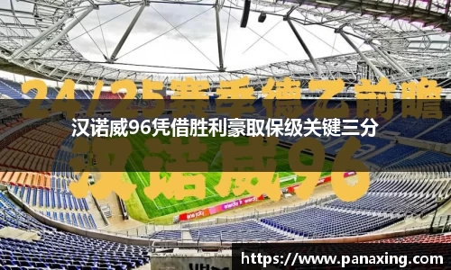 汉诺威96凭借胜利豪取保级关键三分