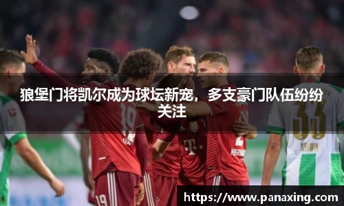 狼堡门将凯尔成为球坛新宠，多支豪门队伍纷纷关注