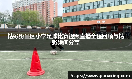 金年会金字招牌在线入口