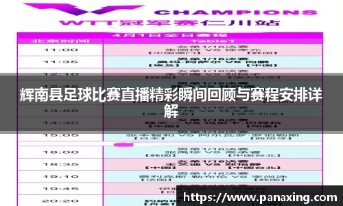 辉南县足球比赛直播精彩瞬间回顾与赛程安排详解