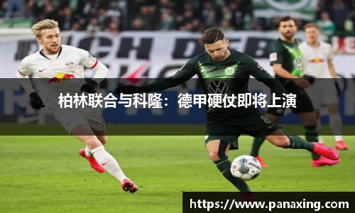 金年会 金字招牌诚信至上